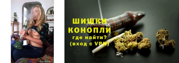 крисы Армянск