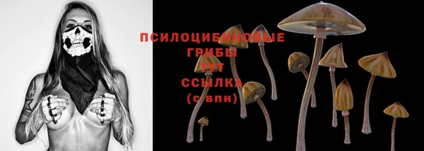 ПСИЛОЦИБИНОВЫЕ ГРИБЫ Пестово