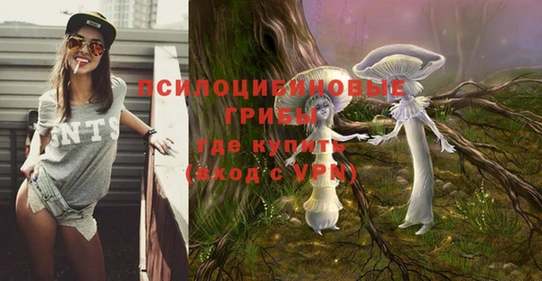 прущий лед Аркадак