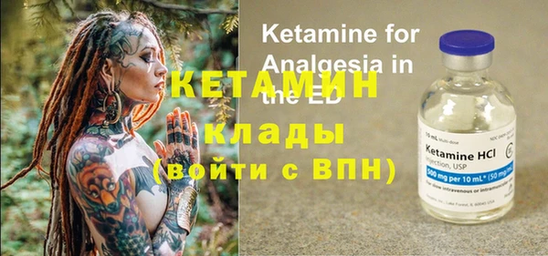 крисы Армянск