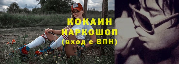 крисы Армянск