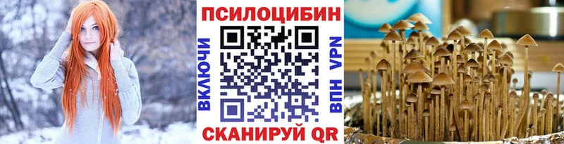 Галлюциногенные грибы Psilocybine cubensis  mega онион  Сорск 